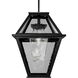 Terrace 1 Light 16.8 inch Textured Black Outdoor Pendant in E26 Incandescent, Clear Seeded